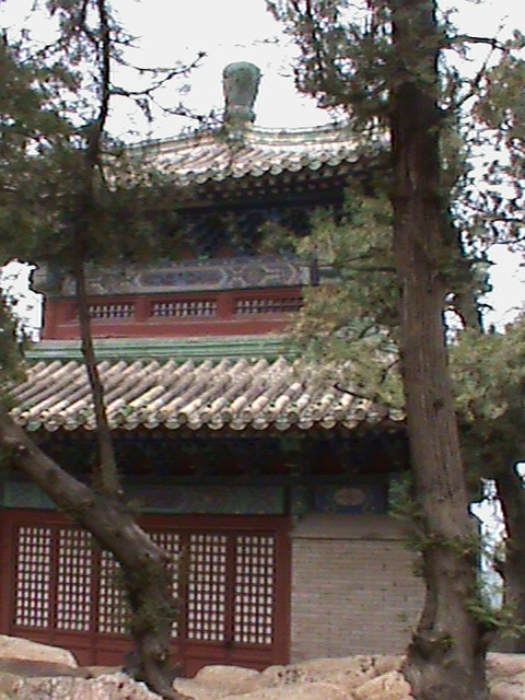 SummerPalace65