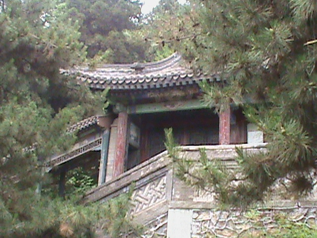 SummerPalace75