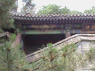 SummerPalace80