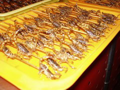 Beijing_Food St Scorpions 84