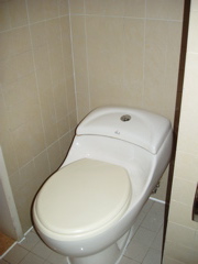 Nan-Our Hote Has a REGULAR toilet! yippee...pee