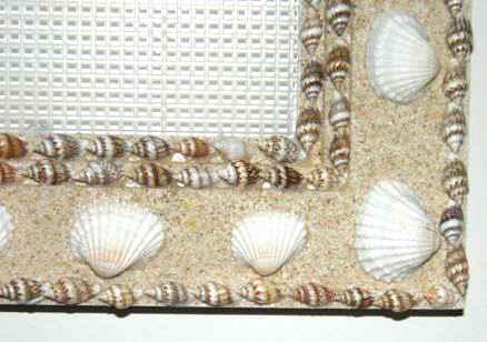 Beachy Sea Shells